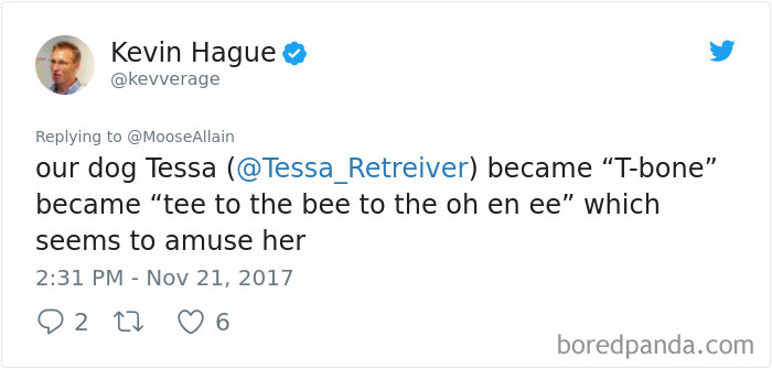 People Are Sharing The Names They Now Call Their Pets Instead Of The Original One, And It’s Hilarious People Are Sharing The Names They Now Call Their Pets Instead Of The Original One, And It’s Hilarious