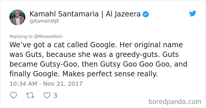 People Are Sharing The Names They Now Call Their Pets Instead Of The Original One, And It’s Hilarious People Are Sharing The Names They Now Call Their Pets Instead Of The Original One, And It’s Hilarious