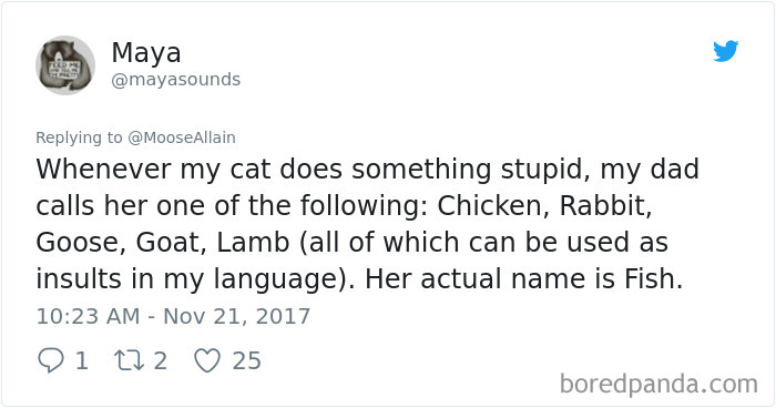 People Are Sharing The Names They Now Call Their Pets Instead Of The Original One, And It’s Hilarious People Are Sharing The Names They Now Call Their Pets Instead Of The Original One, And It’s Hilarious