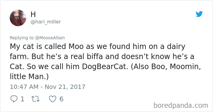 People Are Sharing The Names They Now Call Their Pets Instead Of The Original One, And It’s Hilarious People Are Sharing The Names They Now Call Their Pets Instead Of The Original One, And It’s Hilarious
