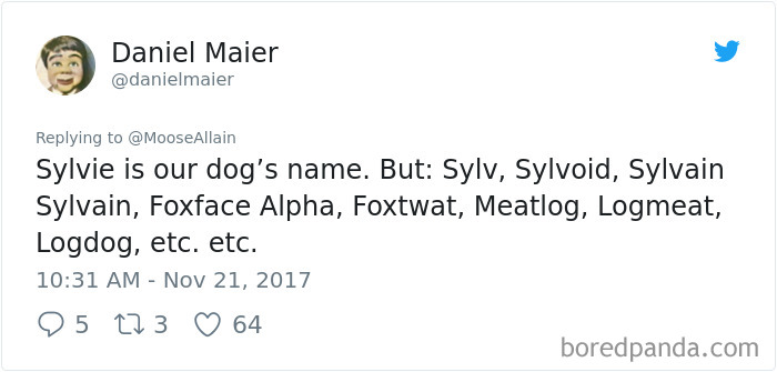 People Are Sharing The Names They Now Call Their Pets Instead Of The Original One, And It’s Hilarious People Are Sharing The Names They Now Call Their Pets Instead Of The Original One, And It’s Hilarious