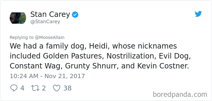 People Are Sharing The Names They Now Call Their Pets Instead Of The Original One, And It’s Hilarious People Are Sharing The Names They Now Call Their Pets Instead Of The Original One, And It’s Hilarious