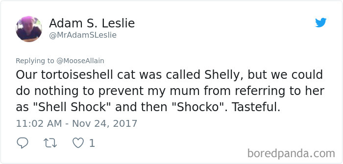 People Are Sharing The Names They Now Call Their Pets Instead Of The Original One, And It’s Hilarious People Are Sharing The Names They Now Call Their Pets Instead Of The Original One, And It’s Hilarious