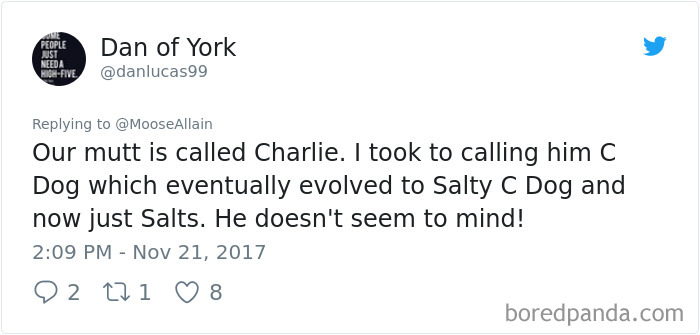 People Are Sharing The Names They Now Call Their Pets Instead Of The Original One, And It’s Hilarious People Are Sharing The Names They Now Call Their Pets Instead Of The Original One, And It’s Hilarious