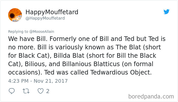 People Are Sharing The Names They Now Call Their Pets Instead Of The Original One, And It’s Hilarious People Are Sharing The Names They Now Call Their Pets Instead Of The Original One, And It’s Hilarious