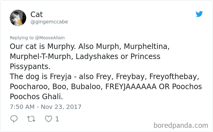 People Are Sharing The Names They Now Call Their Pets Instead Of The Original One, And It’s Hilarious People Are Sharing The Names They Now Call Their Pets Instead Of The Original One, And It’s Hilarious
