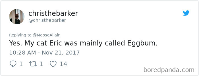 People Are Sharing The Names They Now Call Their Pets Instead Of The Original One, And It’s Hilarious People Are Sharing The Names They Now Call Their Pets Instead Of The Original One, And It’s Hilarious