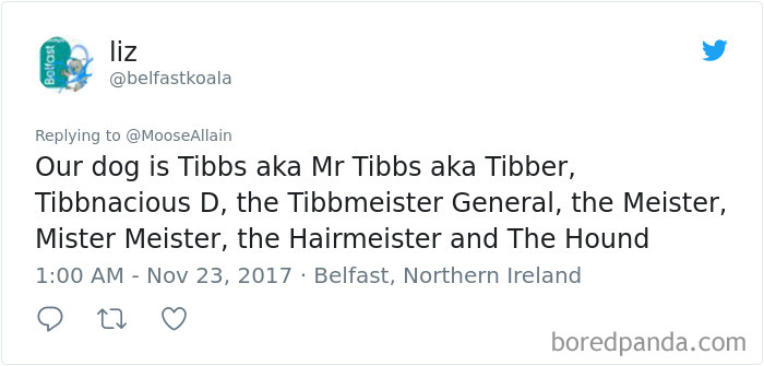 People Are Sharing The Names They Now Call Their Pets Instead Of The Original One, And It’s Hilarious People Are Sharing The Names They Now Call Their Pets Instead Of The Original One, And It’s Hilarious