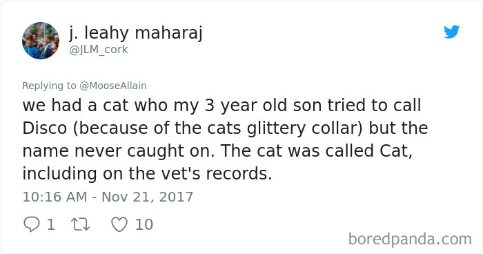 People Are Sharing The Names They Now Call Their Pets Instead Of The Original One, And It’s Hilarious People Are Sharing The Names They Now Call Their Pets Instead Of The Original One, And It’s Hilarious