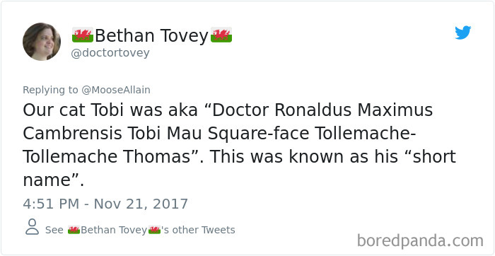 People Are Sharing The Names They Now Call Their Pets Instead Of The Original One, And It’s Hilarious People Are Sharing The Names They Now Call Their Pets Instead Of The Original One, And It’s Hilarious