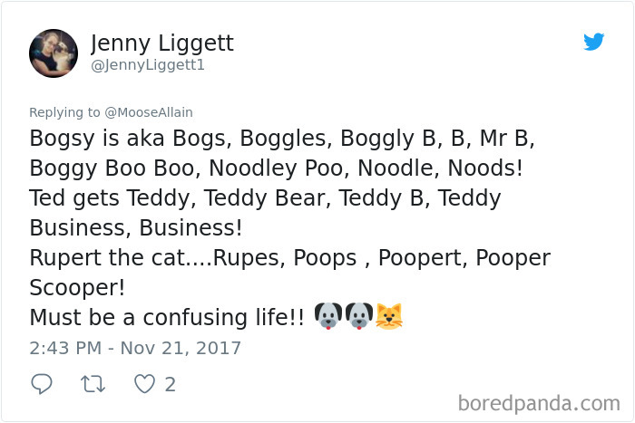 People Are Sharing The Names They Now Call Their Pets Instead Of The Original One, And It’s Hilarious People Are Sharing The Names They Now Call Their Pets Instead Of The Original One, And It’s Hilarious