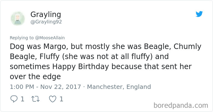 People Are Sharing The Names They Now Call Their Pets Instead Of The Original One, And It’s Hilarious People Are Sharing The Names They Now Call Their Pets Instead Of The Original One, And It’s Hilarious