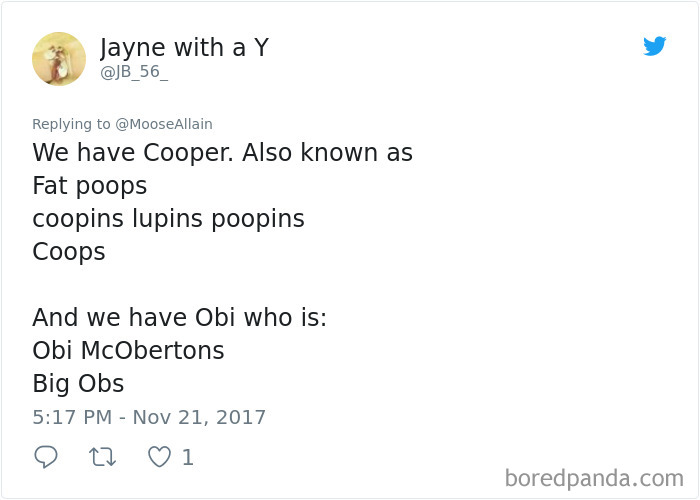 People Are Sharing The Names They Now Call Their Pets Instead Of The Original One, And It’s Hilarious People Are Sharing The Names They Now Call Their Pets Instead Of The Original One, And It’s Hilarious