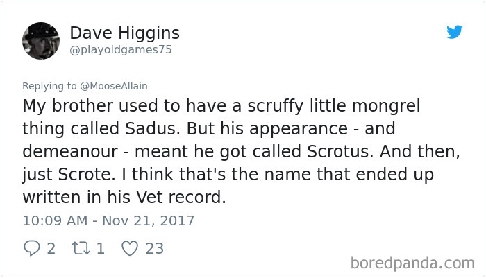 People Are Sharing The Names They Now Call Their Pets Instead Of The Original One, And It’s Hilarious People Are Sharing The Names They Now Call Their Pets Instead Of The Original One, And It’s Hilarious