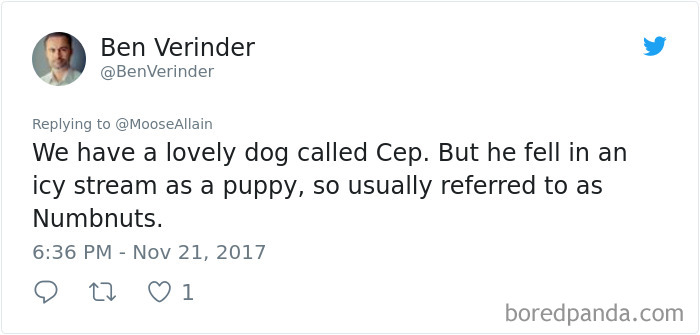 People Are Sharing The Names They Now Call Their Pets Instead Of The Original One, And It’s Hilarious People Are Sharing The Names They Now Call Their Pets Instead Of The Original One, And It’s Hilarious