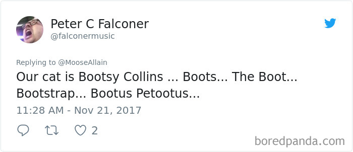 People Are Sharing The Names They Now Call Their Pets Instead Of The Original One, And It’s Hilarious People Are Sharing The Names They Now Call Their Pets Instead Of The Original One, And It’s Hilarious