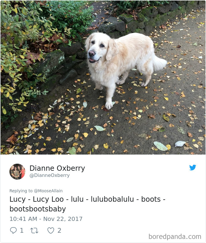 People Are Sharing The Names They Now Call Their Pets Instead Of The Original One, And It’s Hilarious People Are Sharing The Names They Now Call Their Pets Instead Of The Original One, And It’s Hilarious