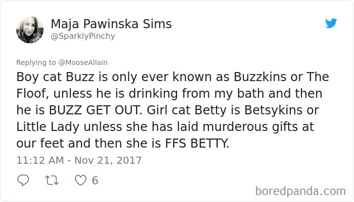 People Are Sharing The Names They Now Call Their Pets Instead Of The Original One, And It’s Hilarious People Are Sharing The Names They Now Call Their Pets Instead Of The Original One, And It’s Hilarious