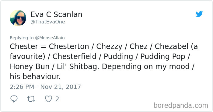 People Are Sharing The Names They Now Call Their Pets Instead Of The Original One, And It’s Hilarious People Are Sharing The Names They Now Call Their Pets Instead Of The Original One, And It’s Hilarious