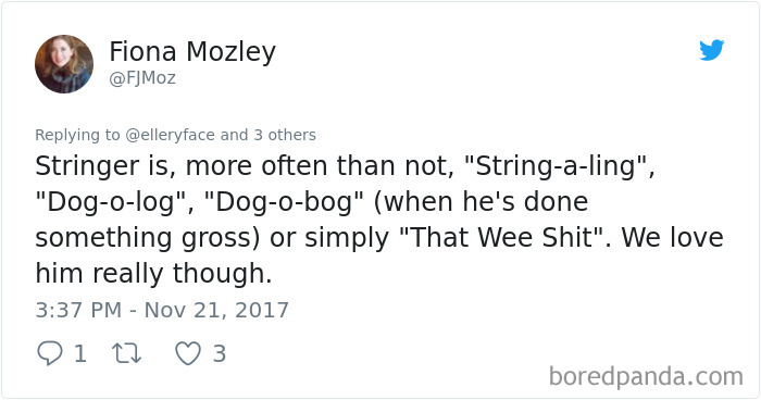 People Are Sharing The Names They Now Call Their Pets Instead Of The Original One, And It’s Hilarious People Are Sharing The Names They Now Call Their Pets Instead Of The Original One, And It’s Hilarious