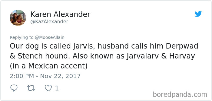 People Are Sharing The Names They Now Call Their Pets Instead Of The Original One, And It’s Hilarious People Are Sharing The Names They Now Call Their Pets Instead Of The Original One, And It’s Hilarious