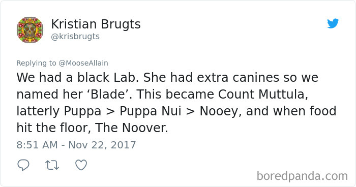 People Are Sharing The Names They Now Call Their Pets Instead Of The Original One, And It’s Hilarious People Are Sharing The Names They Now Call Their Pets Instead Of The Original One, And It’s Hilarious
