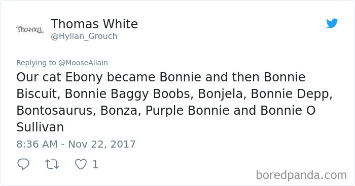 People Are Sharing The Names They Now Call Their Pets Instead Of The Original One, And It’s Hilarious People Are Sharing The Names They Now Call Their Pets Instead Of The Original One, And It’s Hilarious