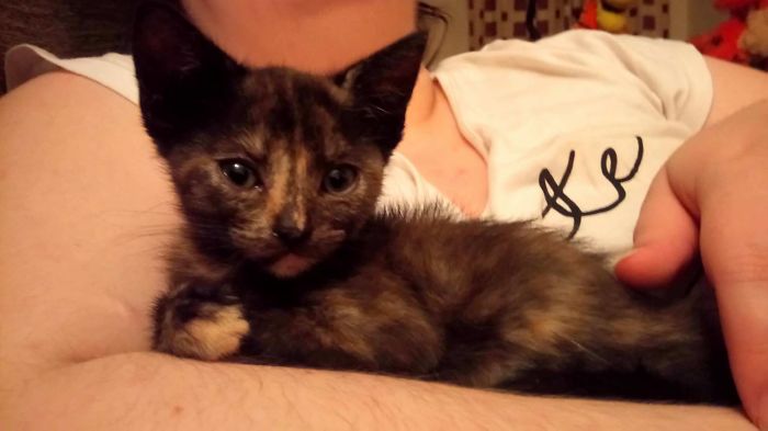 People Are Sharing The Names They Now Call Their Pets Instead Of The Original One, And It’s Hilarious People Are Sharing The Names They Now Call Their Pets Instead Of The Original One, And It’s Hilarious