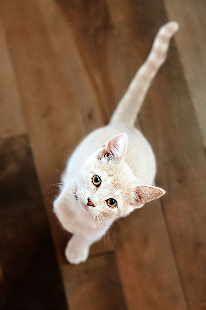 People Are Sharing The Names They Now Call Their Pets Instead Of The Original One, And It’s Hilarious People Are Sharing The Names They Now Call Their Pets Instead Of The Original One, And It’s Hilarious