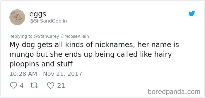 People Are Sharing The Names They Now Call Their Pets Instead Of The Original One, And It’s Hilarious People Are Sharing The Names They Now Call Their Pets Instead Of The Original One, And It’s Hilarious