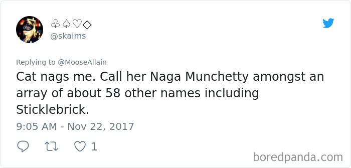 People Are Sharing The Names They Now Call Their Pets Instead Of The Original One, And It’s Hilarious People Are Sharing The Names They Now Call Their Pets Instead Of The Original One, And It’s Hilarious