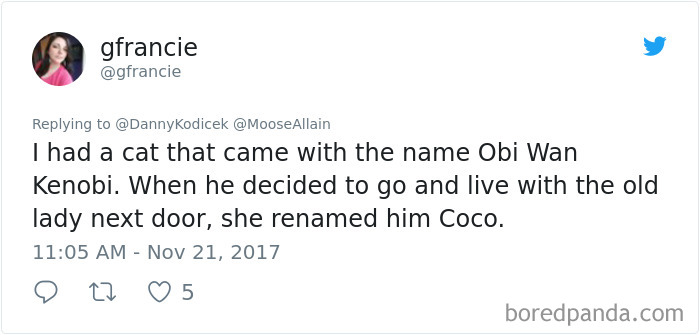 People Are Sharing The Names They Now Call Their Pets Instead Of The Original One, And It’s Hilarious People Are Sharing The Names They Now Call Their Pets Instead Of The Original One, And It’s Hilarious