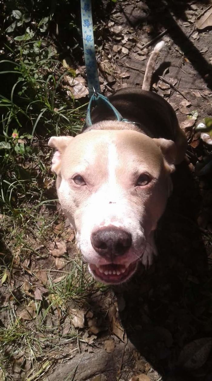 People Are Sharing The Names They Now Call Their Pets Instead Of The Original One, And It’s Hilarious People Are Sharing The Names They Now Call Their Pets Instead Of The Original One, And It’s Hilarious