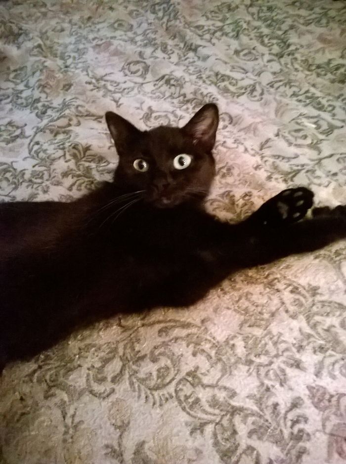 People Are Sharing The Names They Now Call Their Pets Instead Of The Original One, And It’s Hilarious People Are Sharing The Names They Now Call Their Pets Instead Of The Original One, And It’s Hilarious