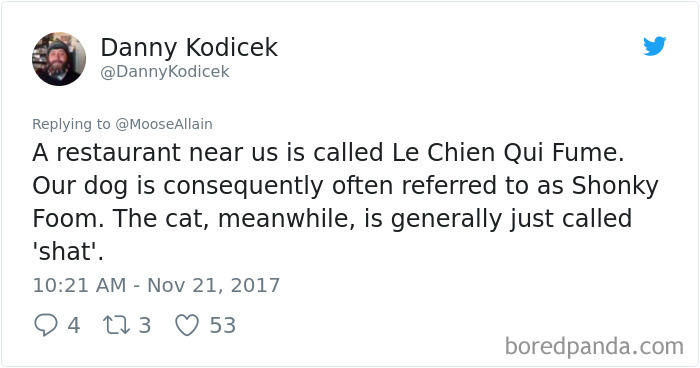 People Are Sharing The Names They Now Call Their Pets Instead Of The Original One, And It’s Hilarious People Are Sharing The Names They Now Call Their Pets Instead Of The Original One, And It’s Hilarious