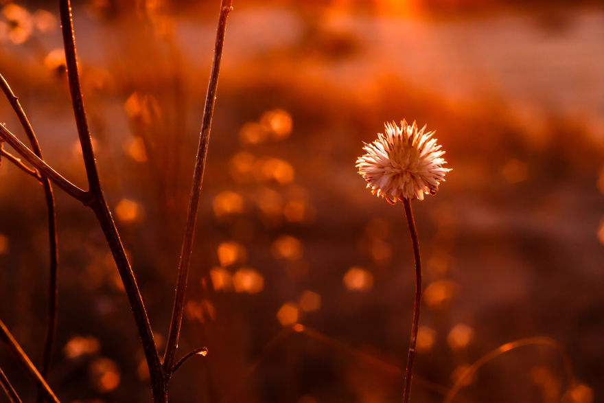 My Photographs Inspired By The Beauty Of Oklahoma My Photographs Inspired By The Beauty Of Oklahoma