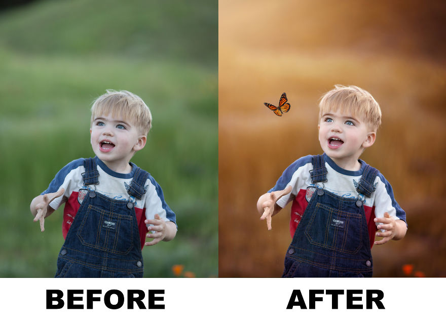 Photographer Uses Butterflies To Create A New Mini Photo Series Out Of Old &#8220;Unusable&#8221; Images