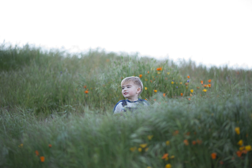 Photographer Uses Butterflies To Create A New Mini Photo Series Out Of Old &#8220;Unusable&#8221; Images
