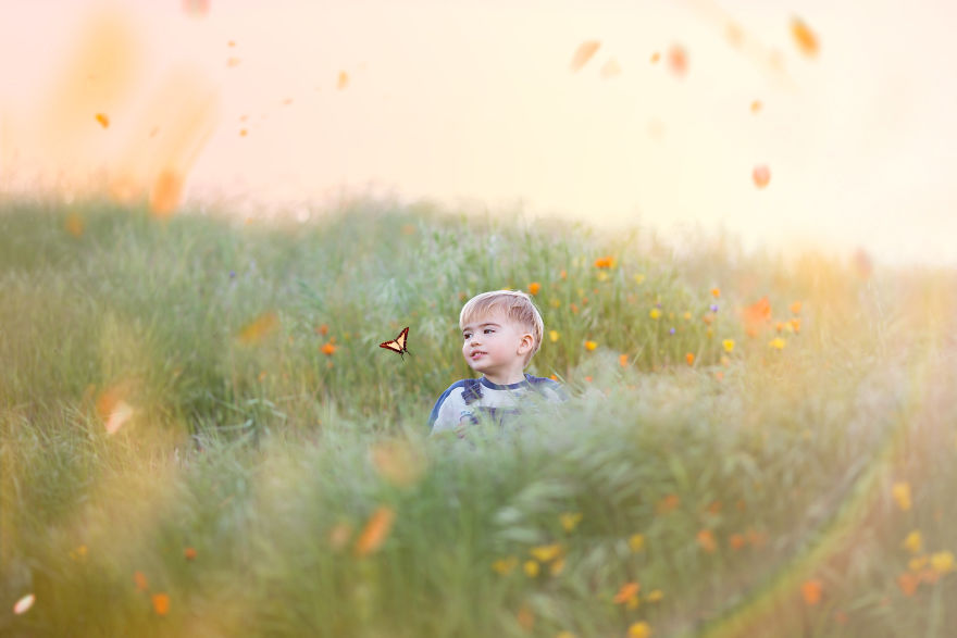 Photographer Uses Butterflies To Create A New Mini Photo Series Out Of Old &#8220;Unusable&#8221; Images