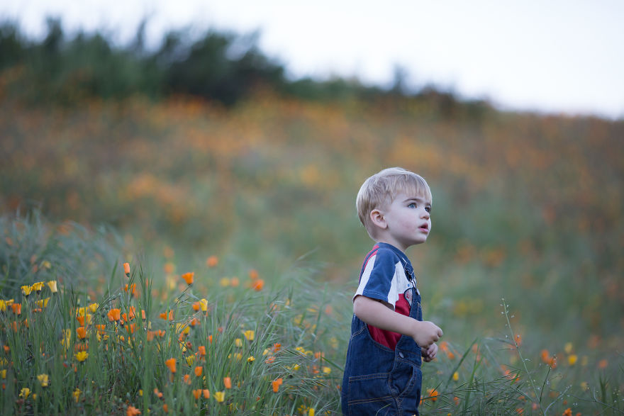 Photographer Uses Butterflies To Create A New Mini Photo Series Out Of Old &#8220;Unusable&#8221; Images