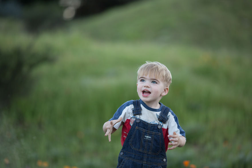 Photographer Uses Butterflies To Create A New Mini Photo Series Out Of Old &#8220;Unusable&#8221; Images