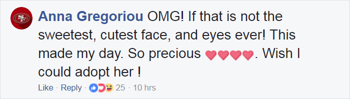 Rescued Baby Bat Stuffs Her Cheeks With Banana After Being Hit By Car, And This Video Will Make Your Day