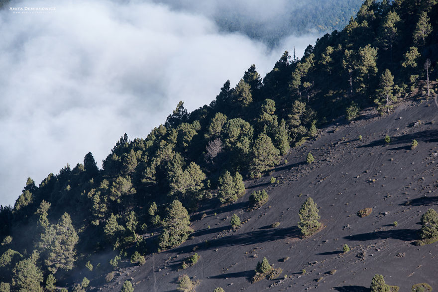 I Captured The Beauty Of The Volcano Fuego During The Eruption I Captured The Beauty Of The Volcano Fuego During The Eruption