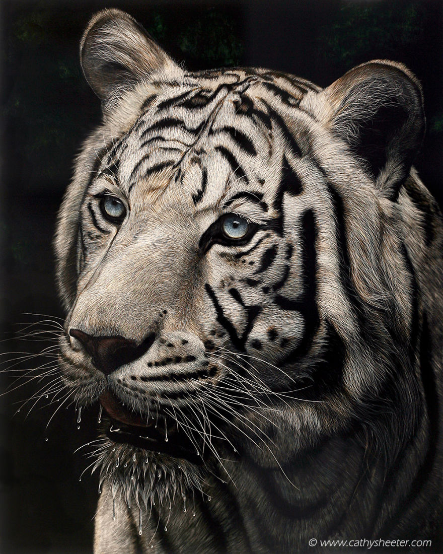 I Create Hyper-Realistic Scratch Drawings On An Ink Coated Board I Create Hyper-Realistic Scratch Drawings On An Ink Coated Board