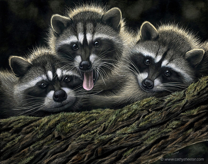 I Create Hyper-Realistic Scratch Drawings On An Ink Coated Board I Create Hyper-Realistic Scratch Drawings On An Ink Coated Board