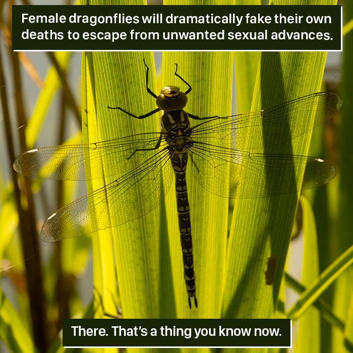 116 Times Nature Proved It&#8217;s Too Weird For Us To Handle