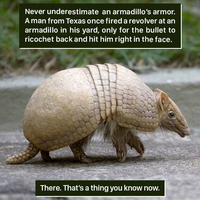 116 Times Nature Proved It&#8217;s Too Weird For Us To Handle
