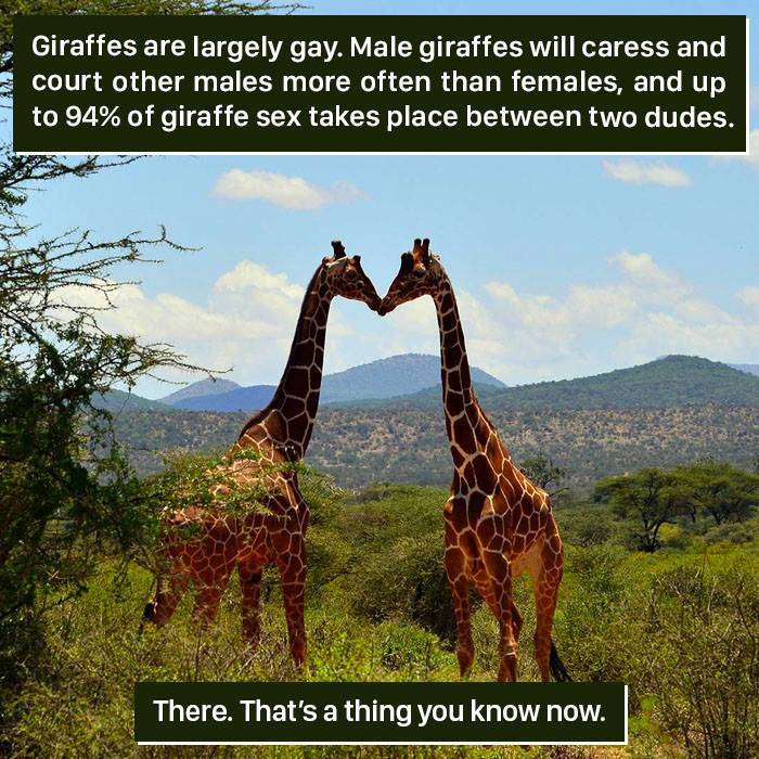 116 Times Nature Proved It&#8217;s Too Weird For Us To Handle