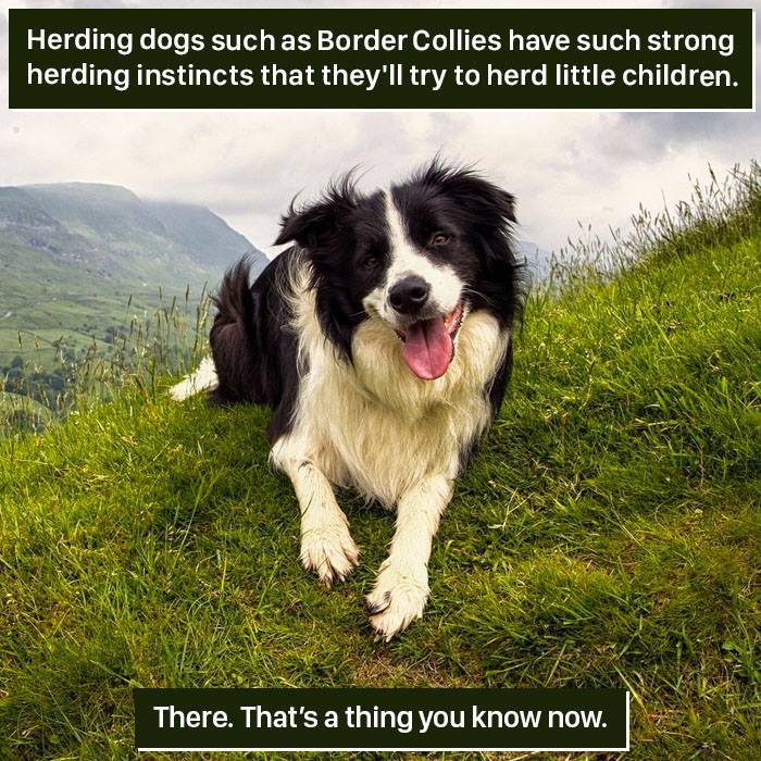 116 Times Nature Proved It&#8217;s Too Weird For Us To Handle