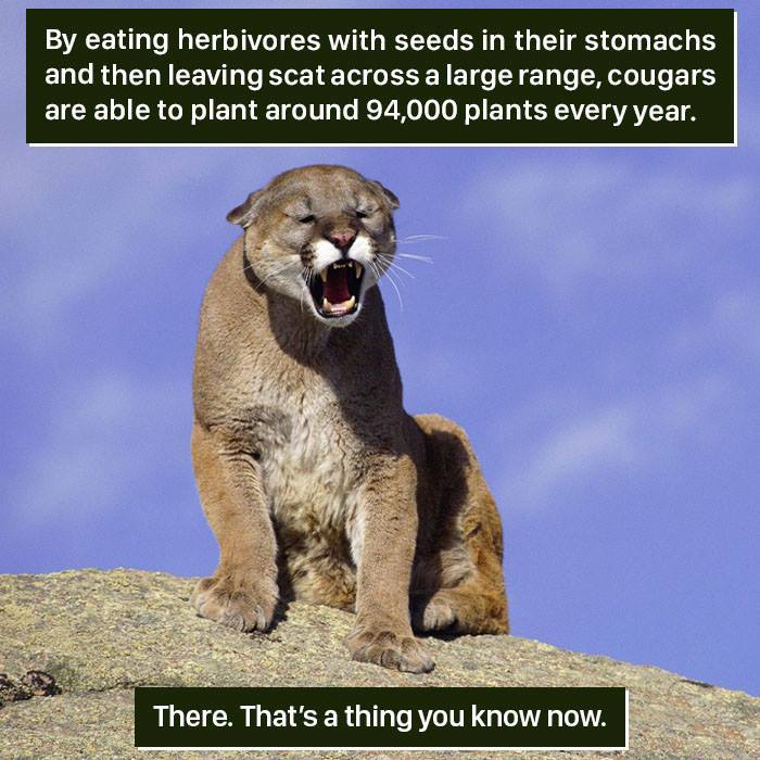 116 Times Nature Proved It&#8217;s Too Weird For Us To Handle